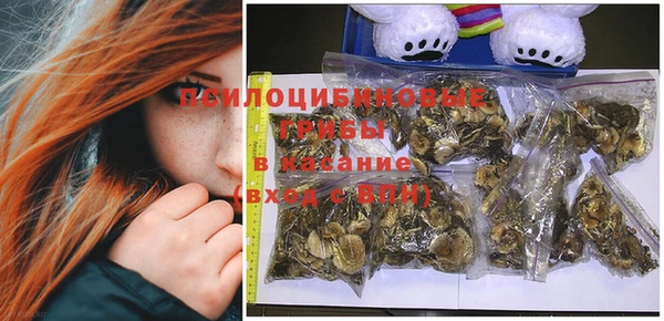 крисы Кодинск