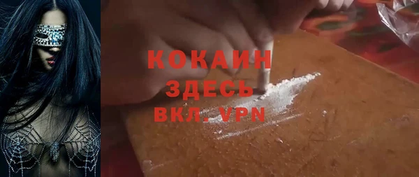 крисы Кодинск
