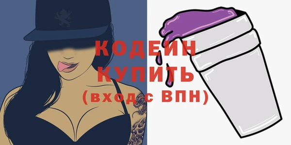 крисы Кодинск