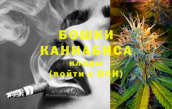 крисы Кодинск