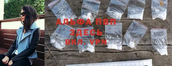 крисы Кодинск