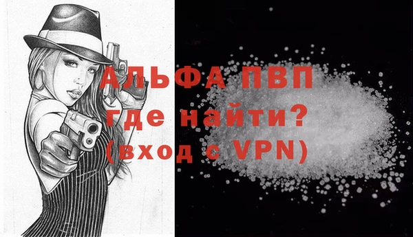 крисы Кодинск