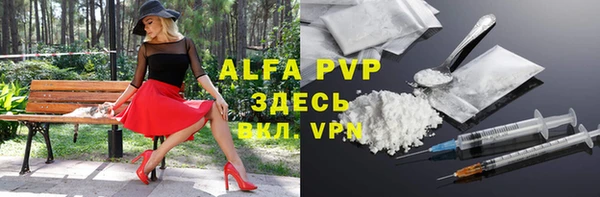 крисы Кодинск