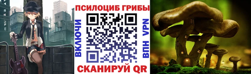 Купить закладки  Ленинск  Галлюциногенные грибы мухоморы 